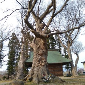 小布施大島神社
