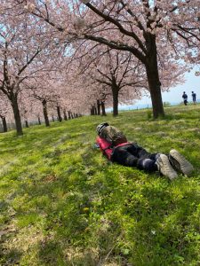 小布施千曲川堤防の桜の下で