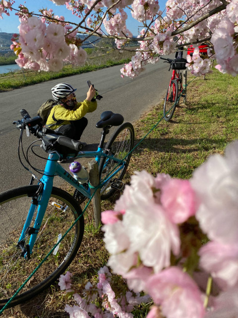 桜を撮る人