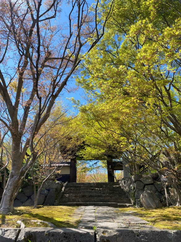 飯山寺巡り