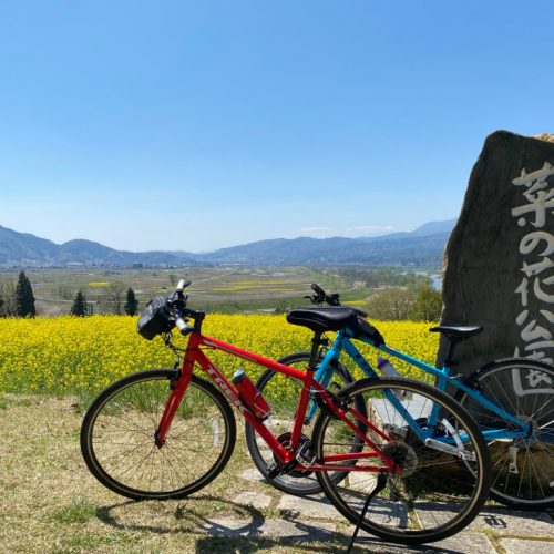 飯山菜の花サイクリング