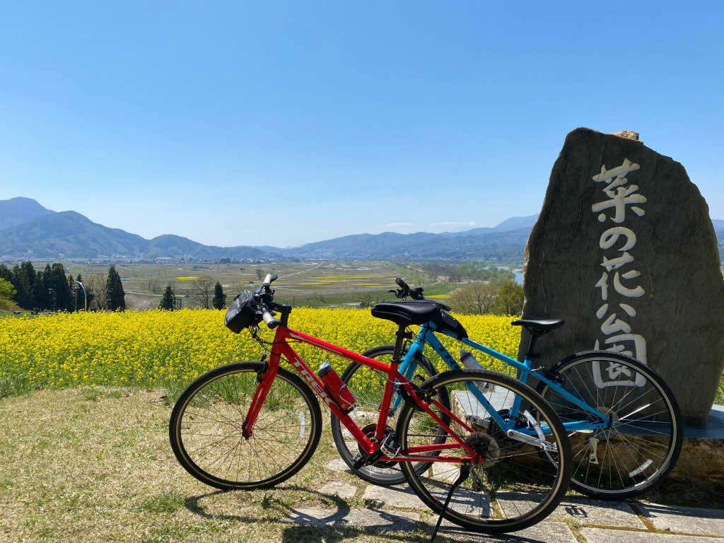 飯山菜の花サイクリング