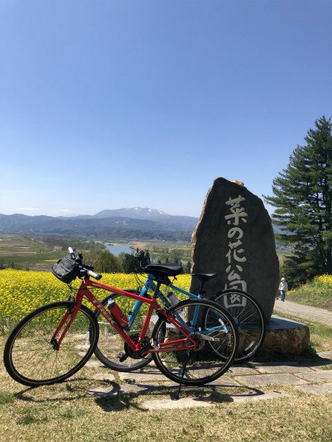 飯山菜の花サイクリング