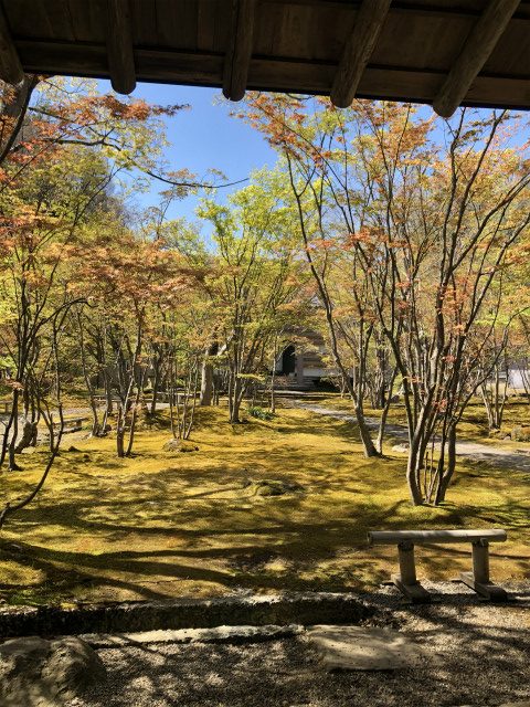 もみじと苔の寺　飯山