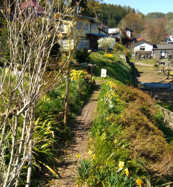 飯山寺巡り