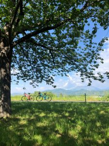 千曲川サイクリングロード