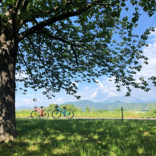 千曲川サイクリングロード