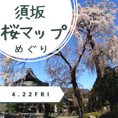 maaruサイクリングイベント須坂桜