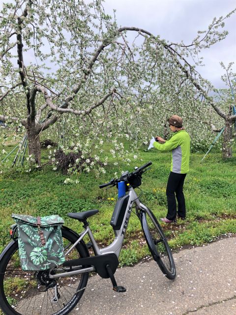 まあるEバイクツアー　高山村