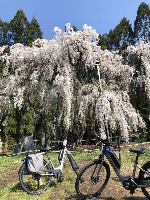 まあるEバイクツアー　高山村