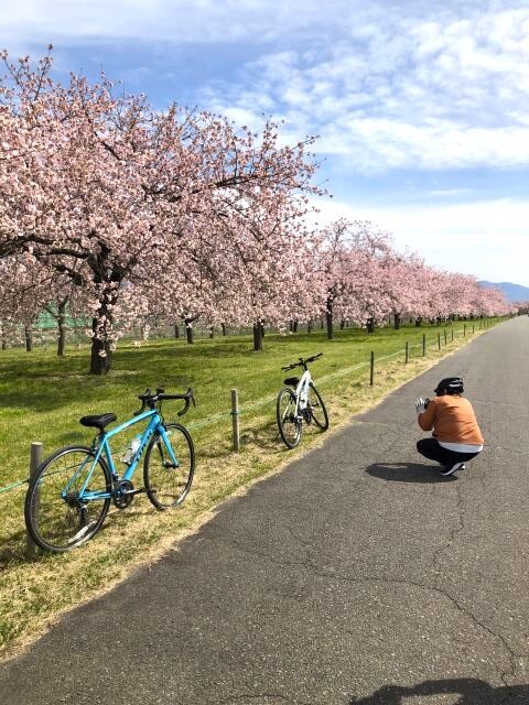 小布施体験サイクリング