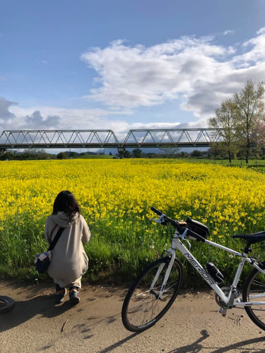 小布施菜の花畑