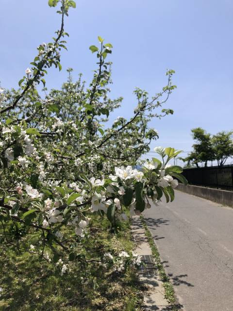 長野市豊野ホッペパンサイクリング