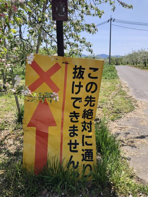 長野市豊野ホッペパンサイクリング