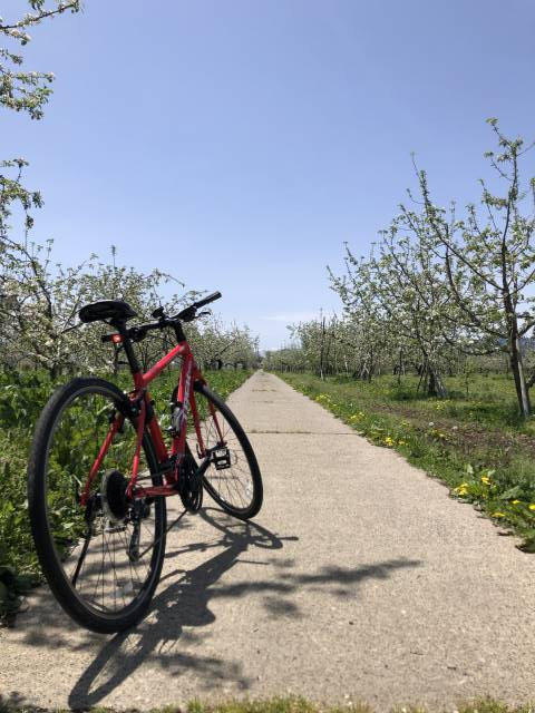 長野市豊野ホッペパンサイクリング