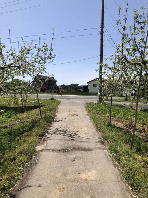 長野市豊野ホッペパンサイクリング