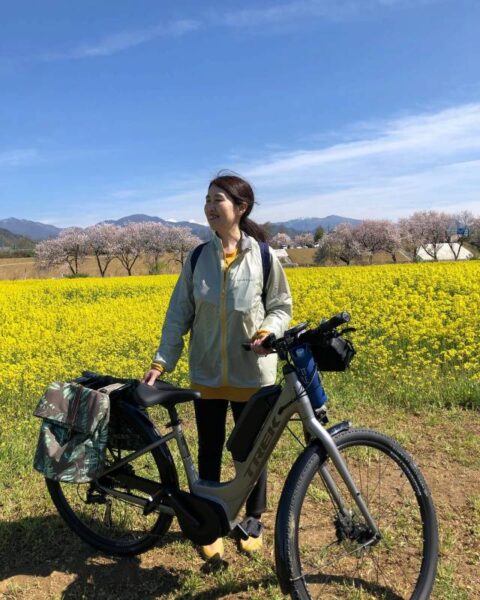 小布施サイクリングロード　菜の花と桜