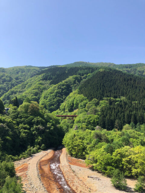 新緑の高井橋