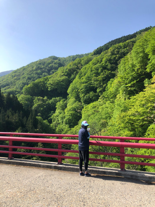 高井橋から新緑を撮影する女子