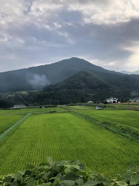 高山村朝チャリたんぼ