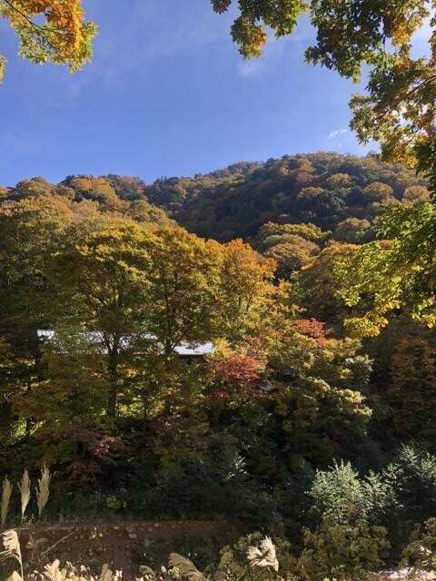 高山村七味温泉イーバイクサイクリング紅葉館