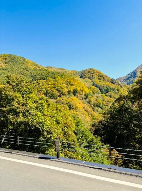 松川渓谷の紅葉