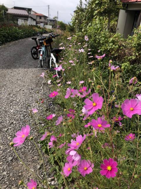 絶品ピザEバイクツアー　長野電鉄線路跡の道