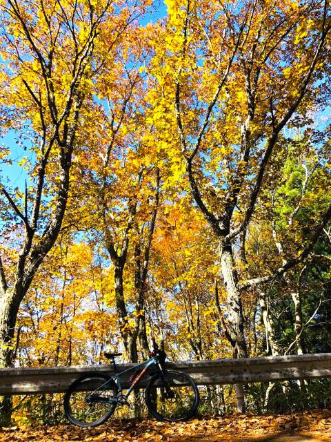 須坂米子大瀑布サイクリング　林道