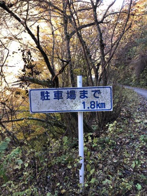 須坂米子大瀑布サイクリング　林道