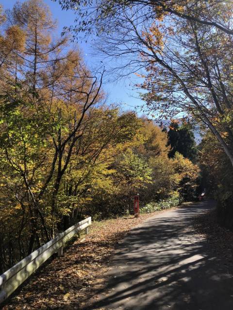 須坂米子大瀑布サイクリング　林道