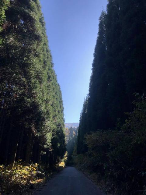 須坂米子大瀑布サイクリング　林道