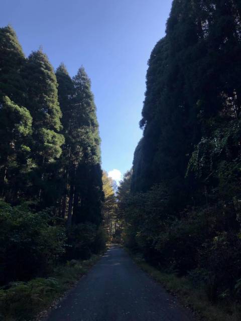 須坂米子大瀑布サイクリング　林道