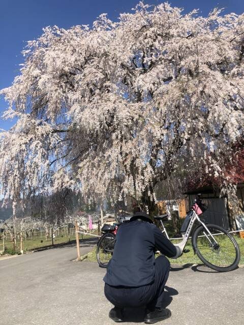 中塩の桜でイーバイクを撮ってくれたおじさん