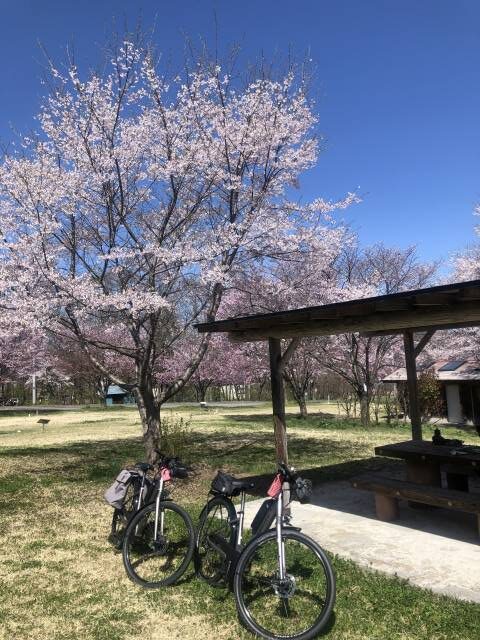 高山村ゆうゆうランドの東屋がある公園