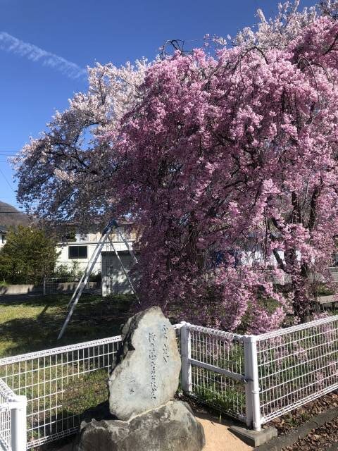 高山村一茶の碑