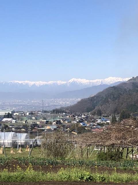 高山村から見える白いアルプス