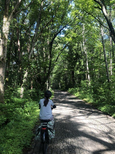 Nojiri lake cycling