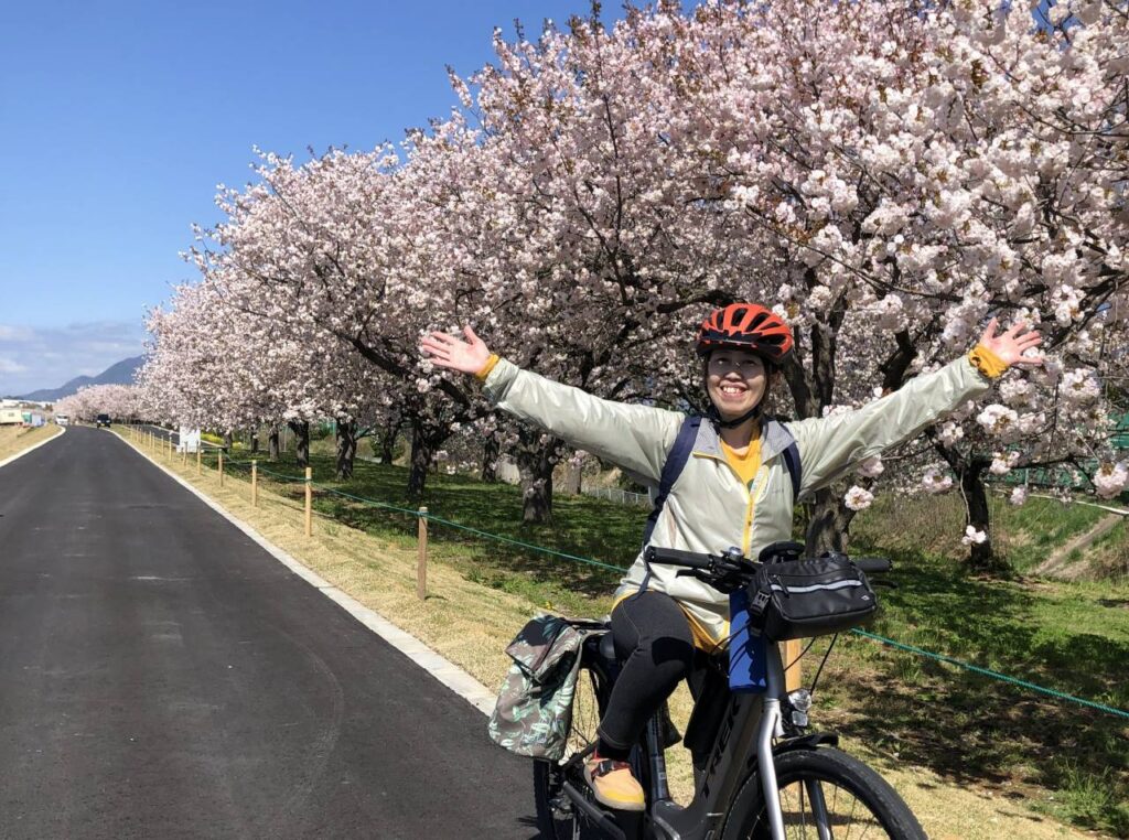 小布施の桜