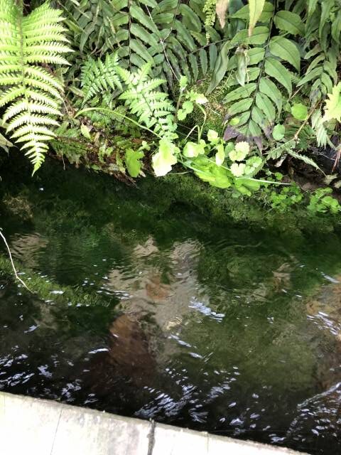 須坂伏流水