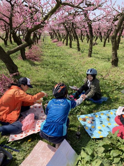 須坂お花見Eバイクツアー2024　 村山桃畑