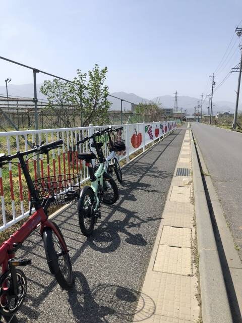 須坂お花見Eバイクツアー2024　 りんごとブドウのフェンス