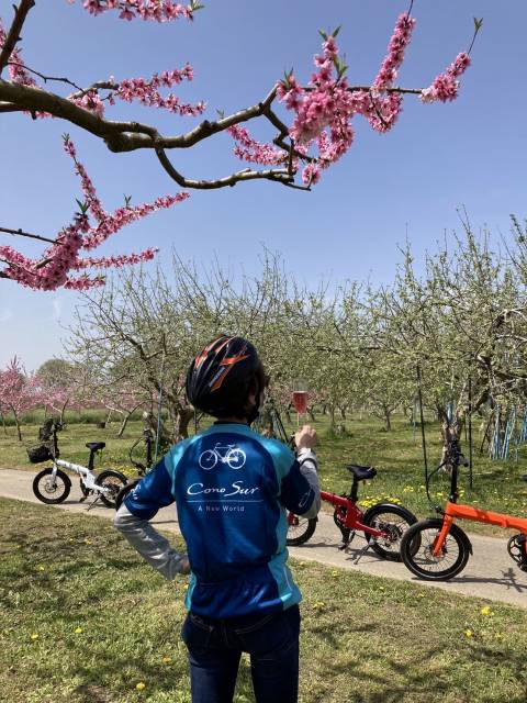 須坂お花見Eバイクツアー2024　 村山桃畑