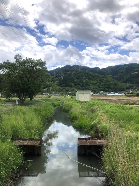 飯山輪行サイクリング　木の橋