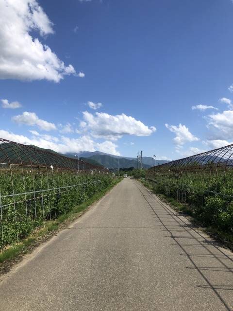 飯山輪行サイクリング　小布施