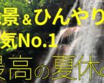 maaru 2024イベント夏休み