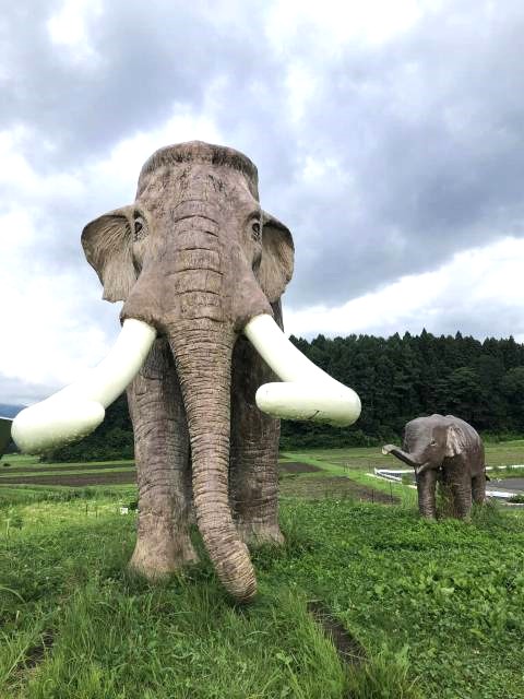 聖地信濃町サイクリングツアー