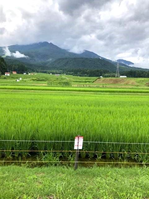 聖地信濃町サイクリングツアー