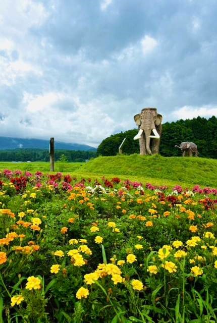 聖地信濃町サイクリングツアー