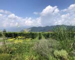 長電サイクルトレイン　須坂高山小布施巡り