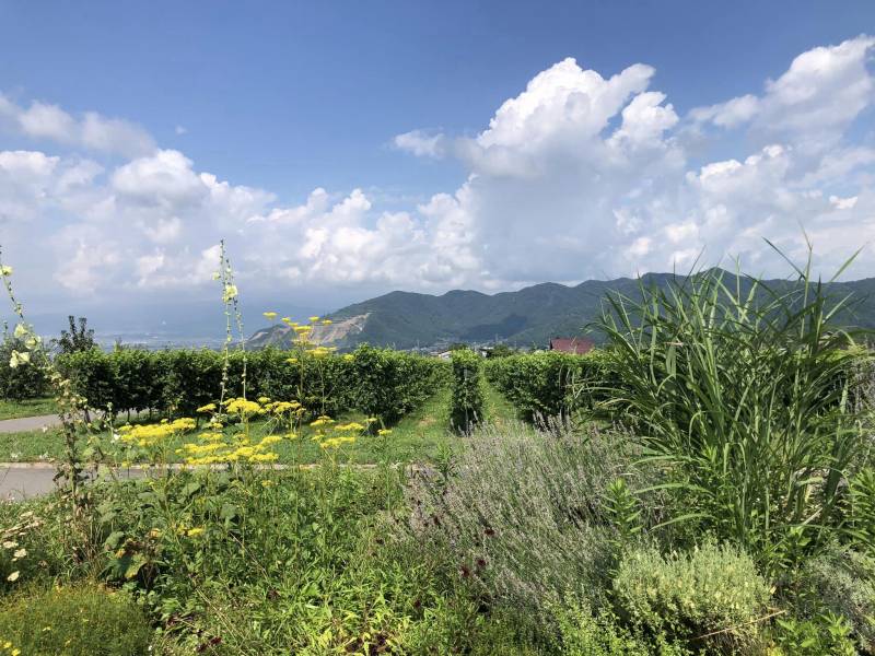 長電サイクルトレイン　須坂高山小布施巡り